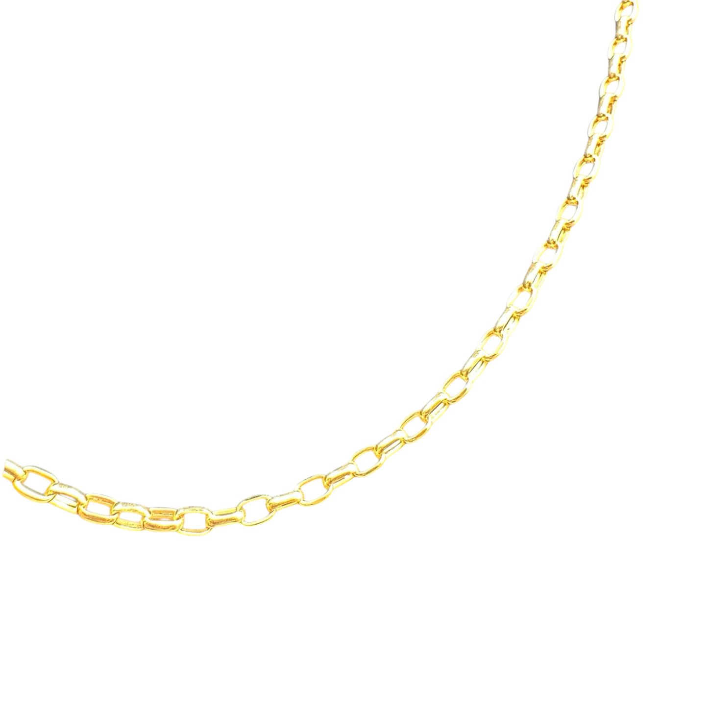 9ct Gold Hallow Diamond Cut Belcher